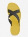 Gul